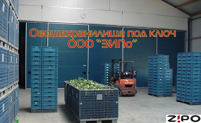 хранение капусты овощехранилище