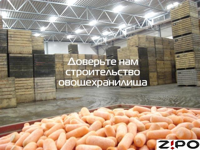 овощехранилище хранение моркови